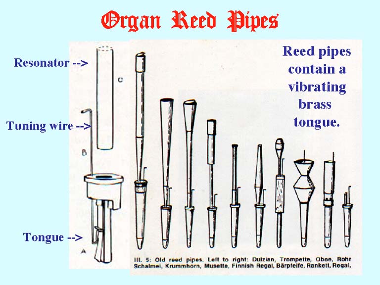 Reed and store pipe organ